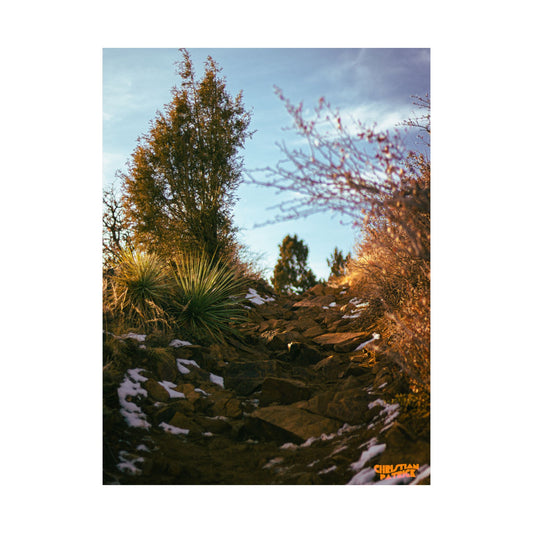 'Seasons' Print