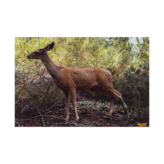 'Survivor' Print